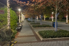 IMG_09921002