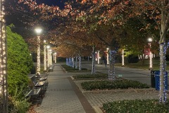 IMG_09931001