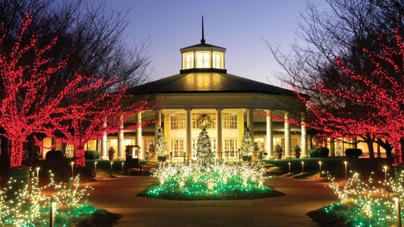 Commercial-Christmas-Light-Installation1-570x321